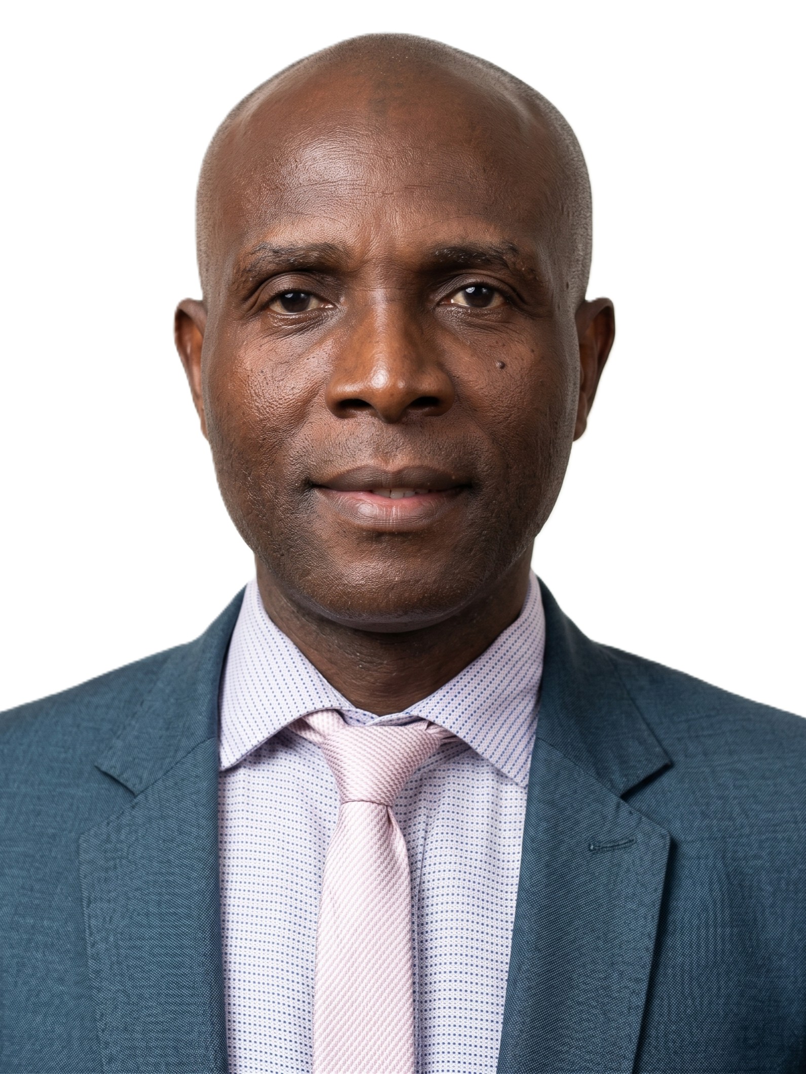 Mr. Francis Okeke